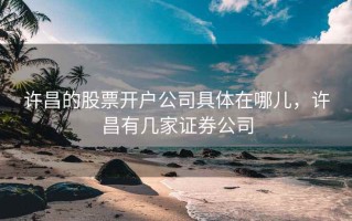 许昌的股票开户公司具体在哪儿，许昌有几家证券公司