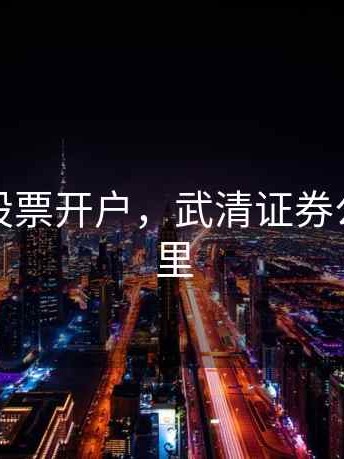 武清区股票开户，武清证券公司在哪里