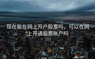 现在能在网上开户股票吗，可以在网上开通股票账户吗