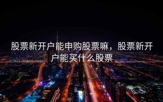 股票新开户能申购股票嘛，股票新开户能买什么股票