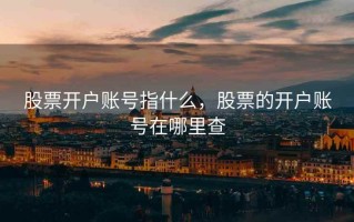 股票开户账号指什么，股票的开户账号在哪里查