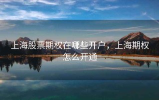 上海股票期权在哪些开户，上海期权怎么开通