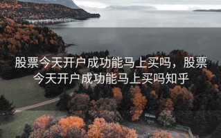 股票今天开户成功能马上买吗，股票今天开户成功能马上买吗知乎