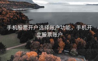 手机股票开户选择账户功能，手机开立股票账户