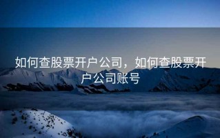 如何查股票开户公司，如何查股票开户公司账号