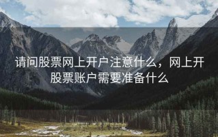 请问股票网上开户注意什么，网上开股票账户需要准备什么