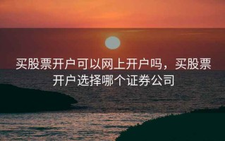 买股票开户可以网上开户吗，买股票开户选择哪个证券公司