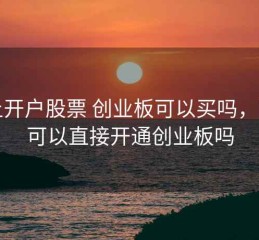 网上开户股票 创业板可以买吗，网上可以直接开通创业板吗