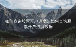 如何查询股票开户进度，如何查询股票开户进度数据