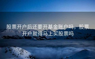 股票开户后还要开基金账户吗，股票开户就得马上买股票吗