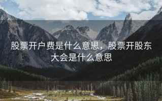 股票开户费是什么意思，股票开股东大会是什么意思
