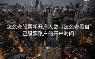 怎么查股票新开户人数，怎么查看自己股票账户的开户时间