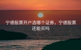 宁德股票开户选哪个证券，宁德股票还能买吗