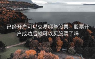 已经开户可以交易哪些股票，股票开户成功后就可以买股票了吗