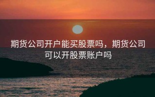 期货公司开户能买股票吗，期货公司可以开股票账户吗
