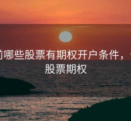 目前哪些股票有期权开户条件，什么股票期权