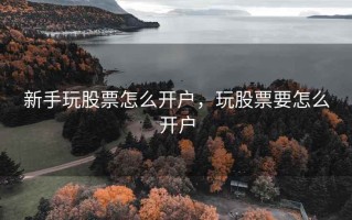 新手玩股票怎么开户，玩股票要怎么开户