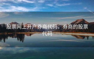 股票网上开户券商代码，券商的股票代码