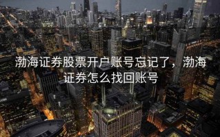 渤海证券股票开户账号忘记了，渤海证券怎么找回账号