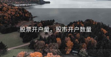 股票开户量，股市开户数量
