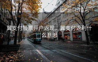 翼支付股票开户返现，翼支付返利什么意思