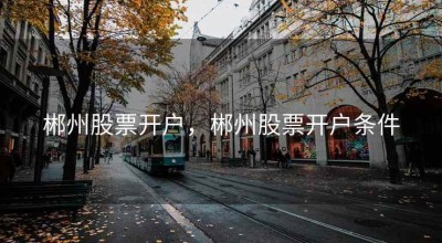 郴州股票开户，郴州股票开户条件