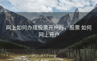 网上如何办理股票开户行，股票 如何网上开户