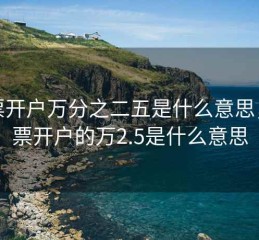 股票开户万分之二五是什么意思，股票开户的万2.5是什么意思