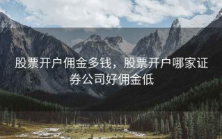 股票开户佣金多钱，股票开户哪家证券公司好佣金低
