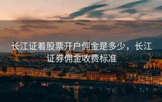 长江证着股票开户佣金是多少，长江证券佣金收费标准