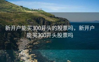 新开户能买300开头的股票吗，新开户能买300开头股票吗