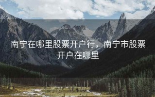 南宁在哪里股票开户行，南宁市股票开户在哪里