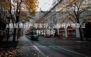a股股票开户哪家好，a股开户哪家证券公司好