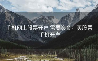 手机网上股票开户 需要资金，买股票手机开户