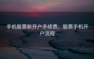 手机股票新开户手续费，股票手机开户流程