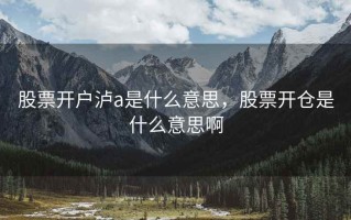 股票开户泸a是什么意思，股票开仓是什么意思啊
