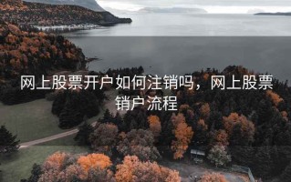 网上股票开户如何注销吗，网上股票销户流程