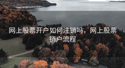 网上股票开户如何注销吗，网上股票销户流程