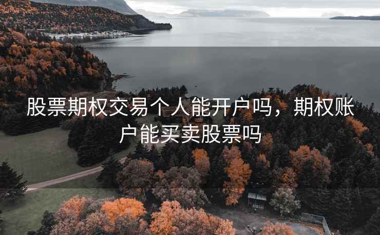 股票期权交易个人能开户吗，期权账户能买卖股票吗