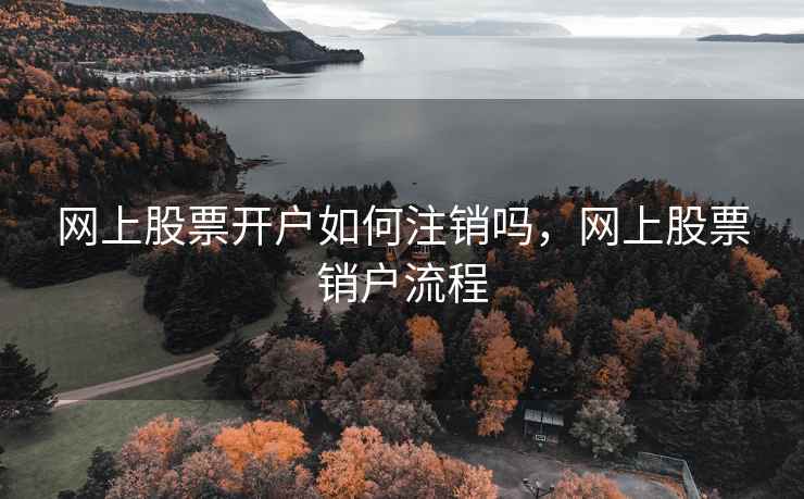 网上股票开户如何注销吗，网上股票销户流程