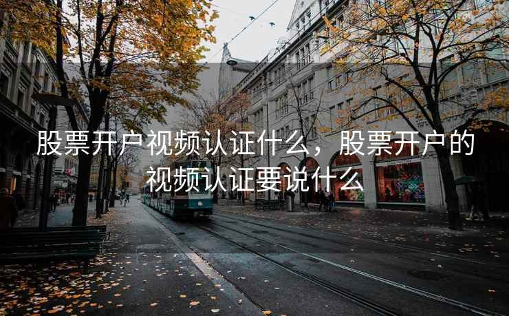 股票开户视频认证什么，股票开户的视频认证要说什么
