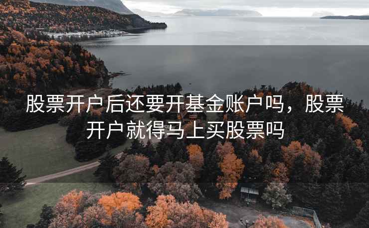 股票开户后还要开基金账户吗，股票开户就得马上买股票吗