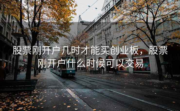 股票刚开户几时才能买创业板，股票刚开户什么时候可以交易
