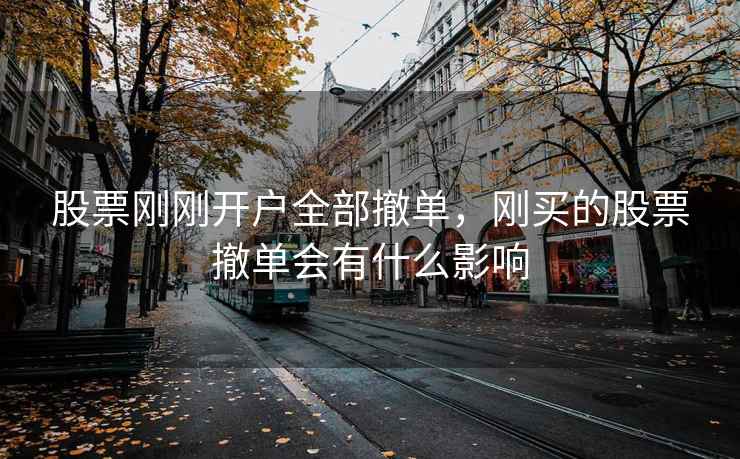 股票刚刚开户全部撤单，刚买的股票撤单会有什么影响