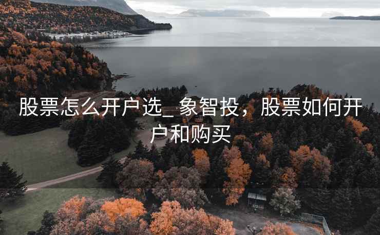 股票怎么开户选_ 象智投，股票如何开户和购买