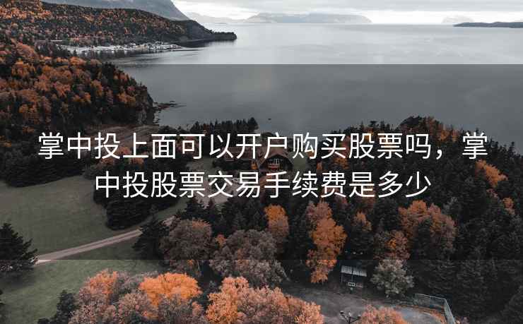掌中投上面可以开户购买股票吗，掌中投股票交易手续费是多少