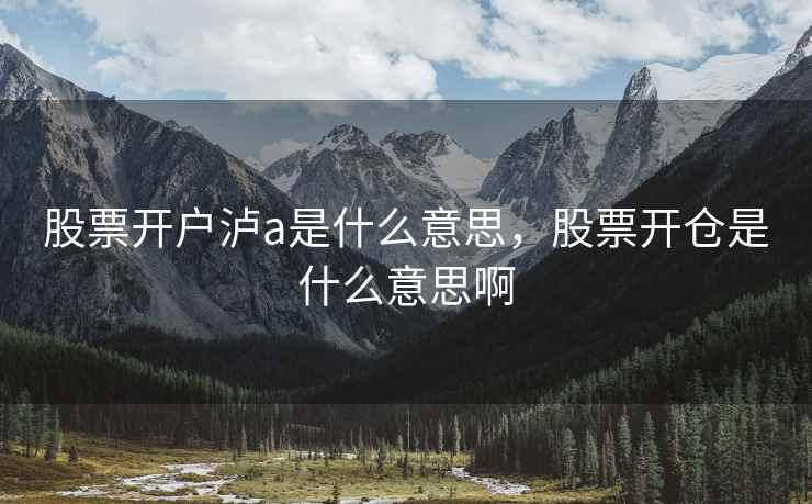 股票开户泸a是什么意思，股票开仓是什么意思啊