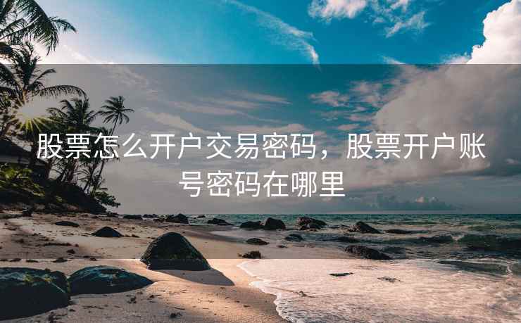 股票怎么开户交易密码，股票开户账号密码在哪里