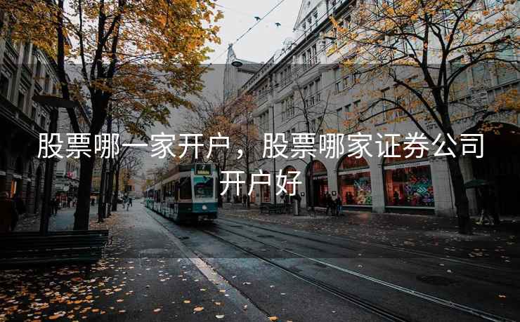 股票哪一家开户，股票哪家证券公司开户好