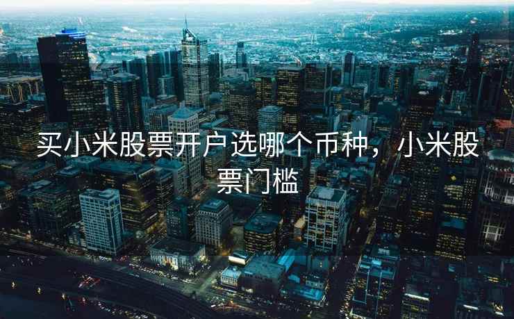 买小米股票开户选哪个币种，小米股票门槛